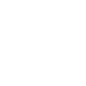 Chubb